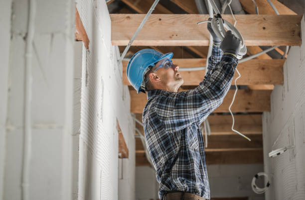 Best Affordable Electrician  in Oakwood Hls, IL